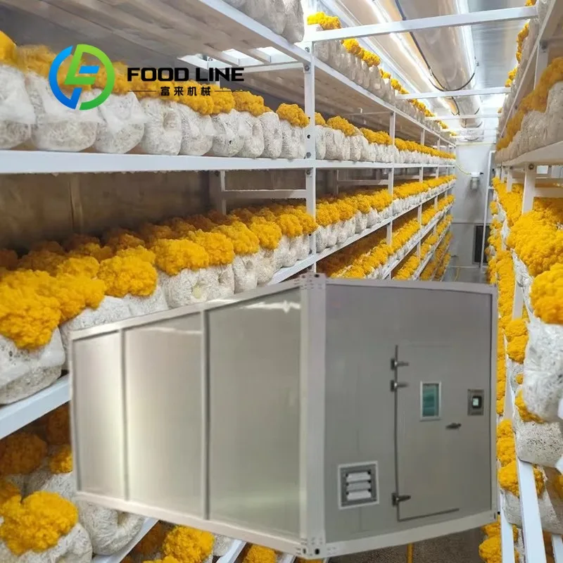 Automatic Mushroom Growing Chamber Precise Temperature Humidity And Ventilation Control For Commercial Mushroom Production