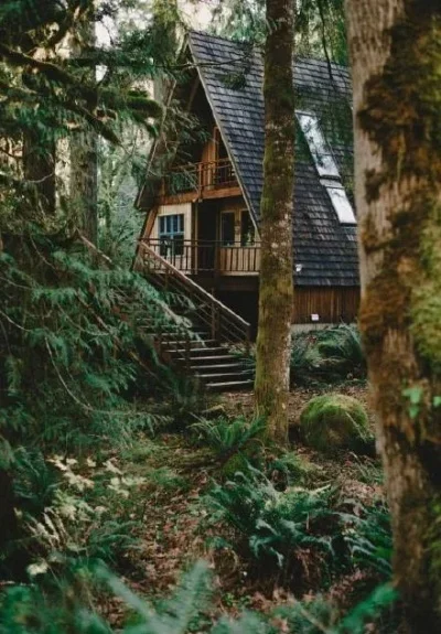 

Металлический сервопривод JX 2205MG, подходящий для радиоуправляемых машин MJX 14210 14209 1/14