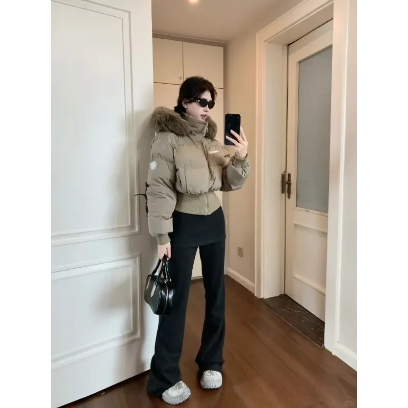 女性の防寒コート女性の秋と冬の新しい韓国版スパイスガールファーカラーフード付き暖かいパッド入りジャケット