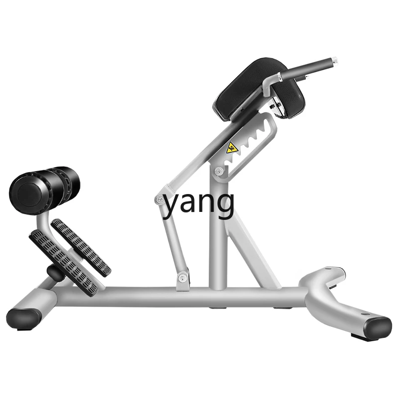 CX Commercial Roman Chair Goat Body Lifter Waist and Back Abdominal Muscle Back Muscle Trainer