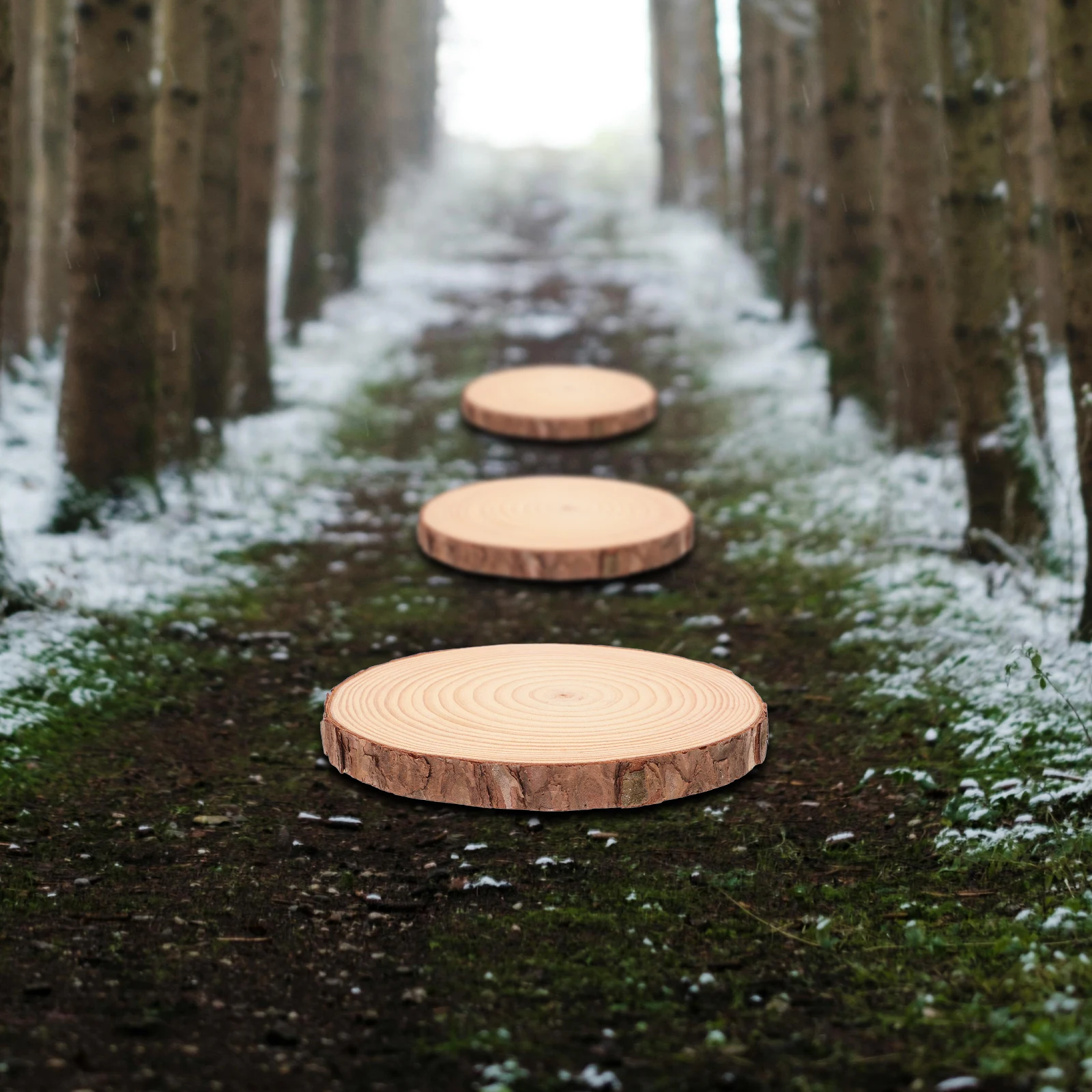 

3pcs Garden Stepping Stone 18-20cm Diameter 2cm Thick Wood Stepping Stones Outdoor Path Decor Outdoor Spaces Gifts