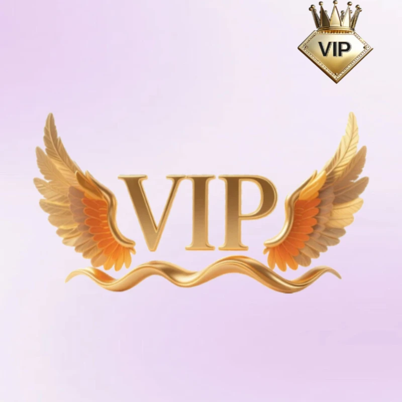 VIP Link Is Used To Pay Additional Shipping Fees Do Not Purchase This Link Easily