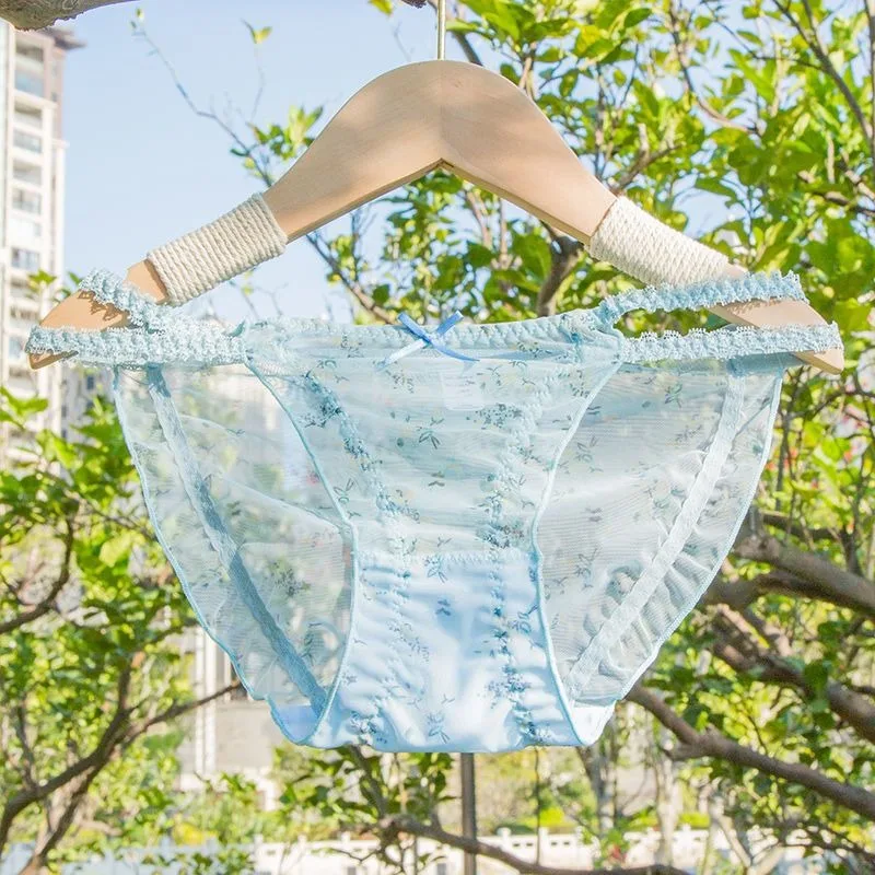 Summer Girl Underwear Japanese Sexy Lace Transparent Temptation Low Waist Lifting Hip Triangle Panties Latest Style Lingerie