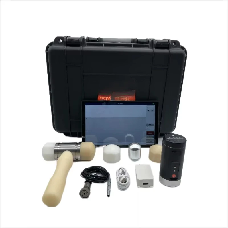 Low-strain pile integrity test equipment LCD screen, display electronics (lithium battery)
