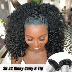 3B 3C Afro Kinky Curly K Tip Microlinks Hair Extensions Human Hair Brazilian Virgin Hair I Tip Human Flat Fusion Hair Extensions