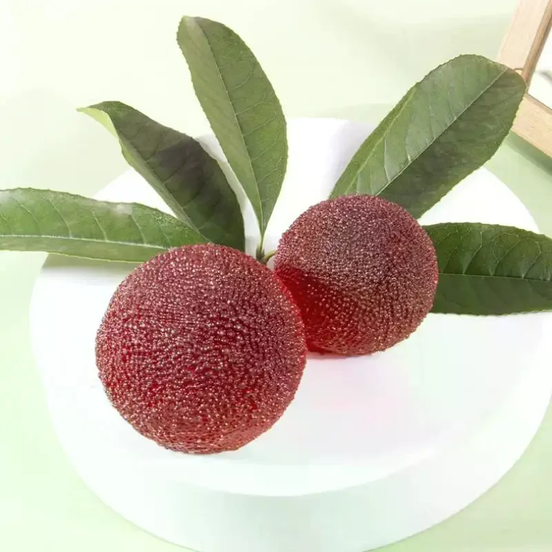 Handmade Simulated Waxberry Squeeze Toy, Cute Slow Rebound Fruit Toy for Stress Relief & Gifting