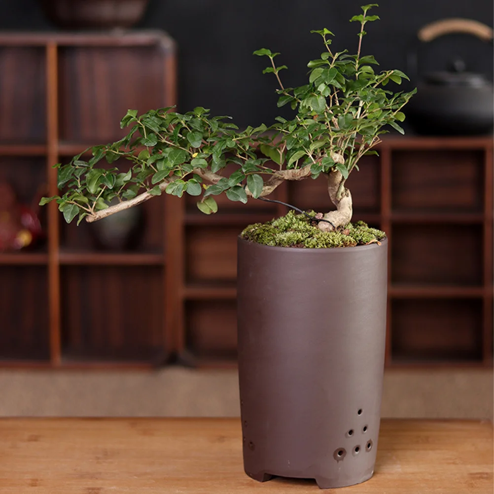 

Planters for Indoor Plants Flower Pots with Drainage Light Brown Orchid Containers