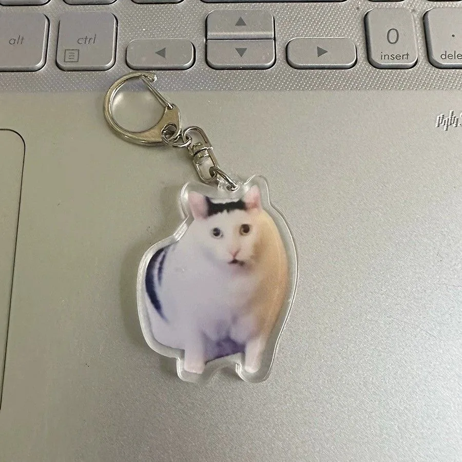 Grappige Cat Memes-serie sleutelhanger Student Gift Bag Lanyard Damestas hanger sleutelhanger Leuke dingen Goedkoop cadeau voor beste vrienden