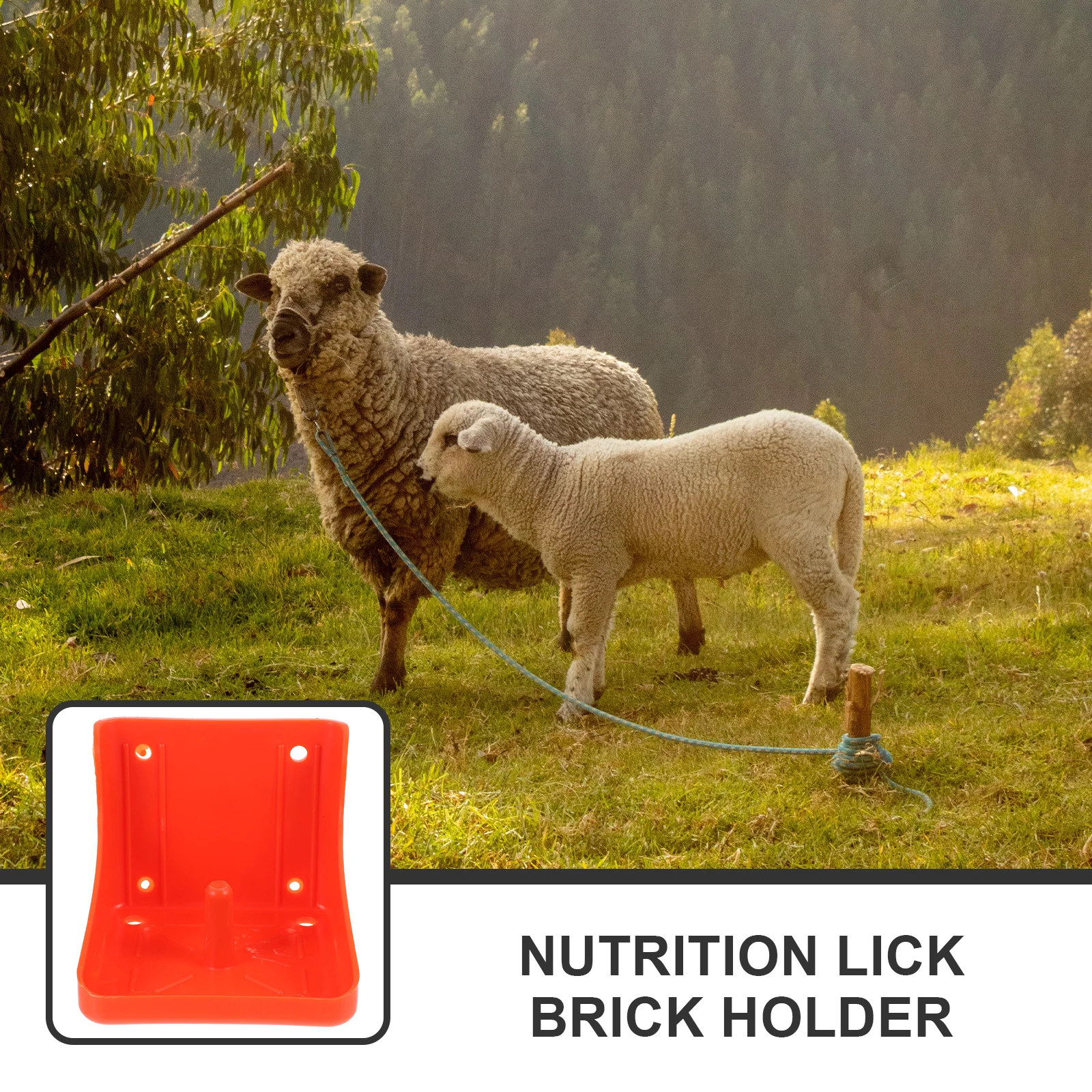 

Lick Brick Box Salt Block Holder for Cattle Sheep Horses Small Hole Feeding Tray Durable Livestock Salt Brick Licking Box