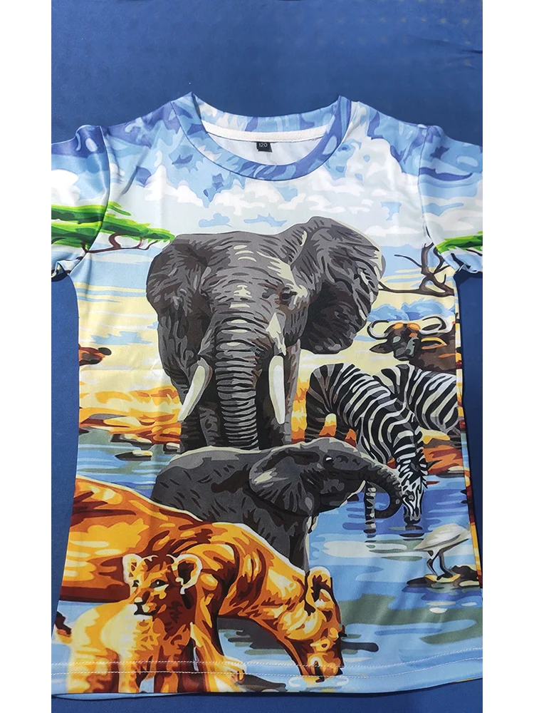 3-14 Jahre Baby Jungen Dinosaurier T-Shirt Kinderkleidung Kinderkleidung Jungen Mädchen T-Shirt Sommer Cartoon Tops Kurzarm-T-Shirts – Detail 3