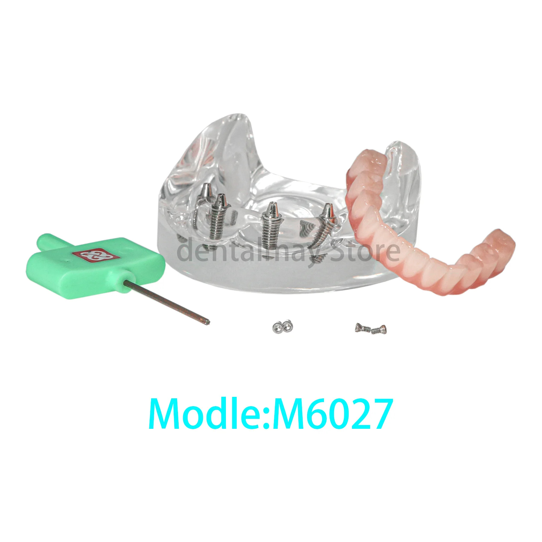 Denti per impianto dentale modello ganascia superiore/inferiore trasparente tipo All on 4 Modle per sovraprotesi con 4 viti rimovibili