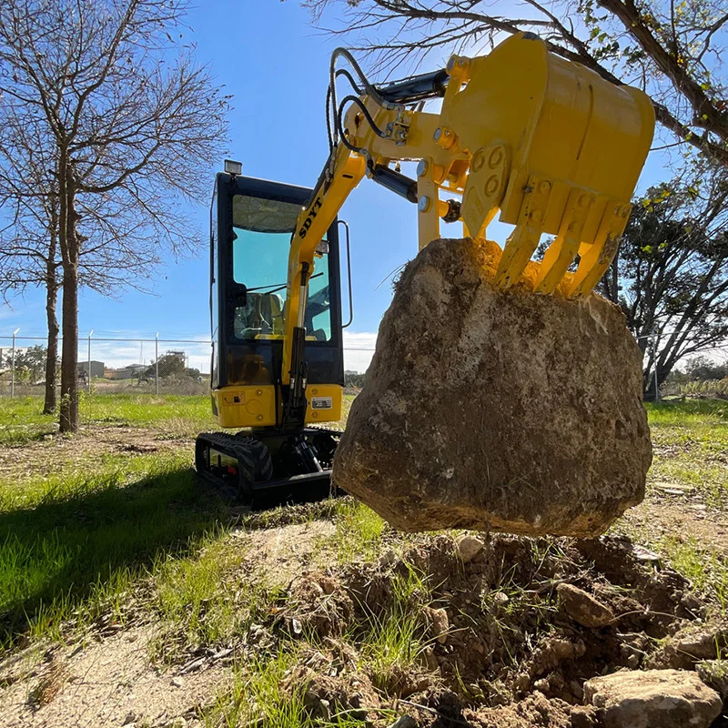 

Customized Mini Excavators With Hydraulic Crawler Diesel Engines Ranging From 1 T To 6 T In A Complete Range Of Specifications