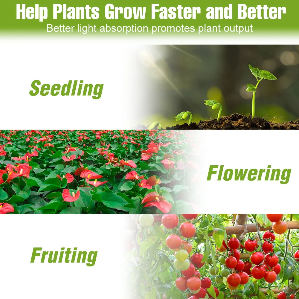 LED تنمو ضوء الطيف الكامل زراعة النباتات الداخلية مصباح مع توقيت 24 ساعة يعتم مقاوم للماء للزهور الزراعة المائية USB 5 فولت #6