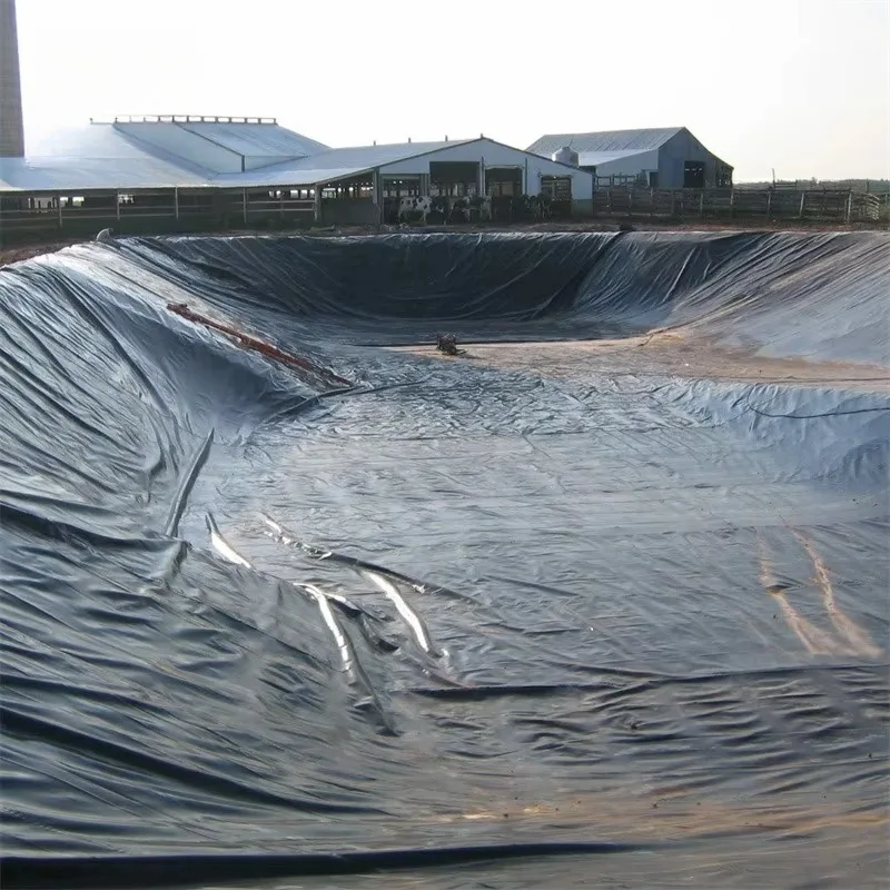 Customized Smooth Textured HDPE Geomembrane for Fish Pond Reservoir Landfill Mining and Environmental Projects