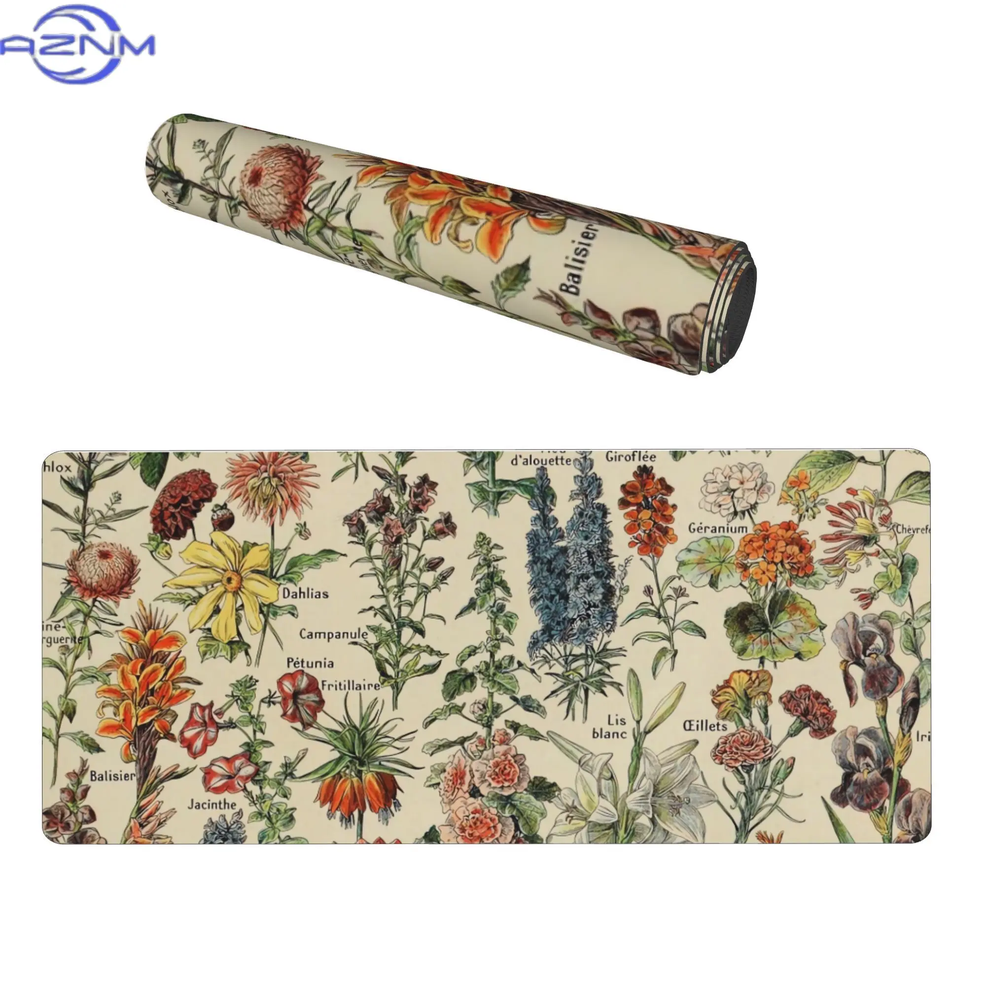 Vintage French Botanical Flowers Adolphe Millot Fleurs Minimalist Keyboard Mat for Creative Studios Complements Modern Devices A