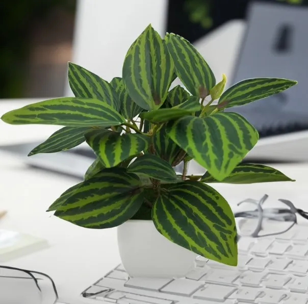 Plantas artificiales bonsái, plantas en maceta de simulación, flores falsas, adornos en maceta para mesa, decoración para el hogar, oficina, Hotel y