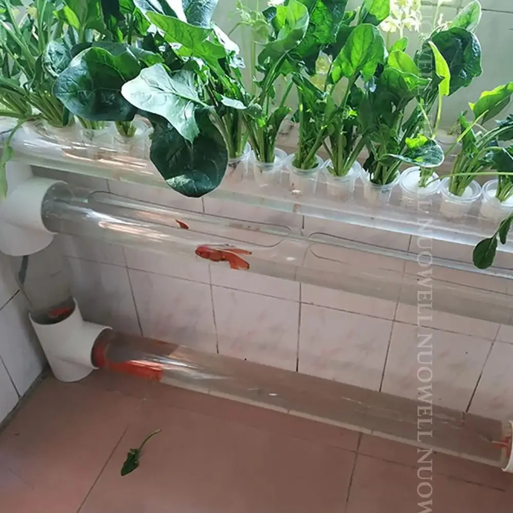 1Pcs Clear Transpar…