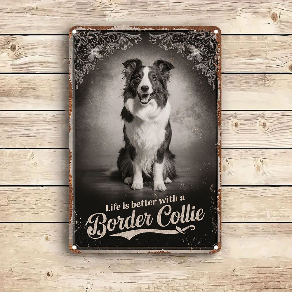 Charming  Border Collie Vintage Metal Wall Art - Rustic Aluminum Sign with Humorous 