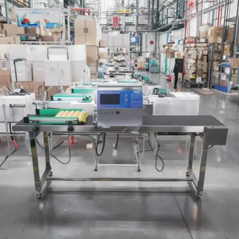 Customized Integrated Cabinet Egg Inkjet Coder Automatic Egg Carton Date Logo Printing Equipment For Poultry Farm
