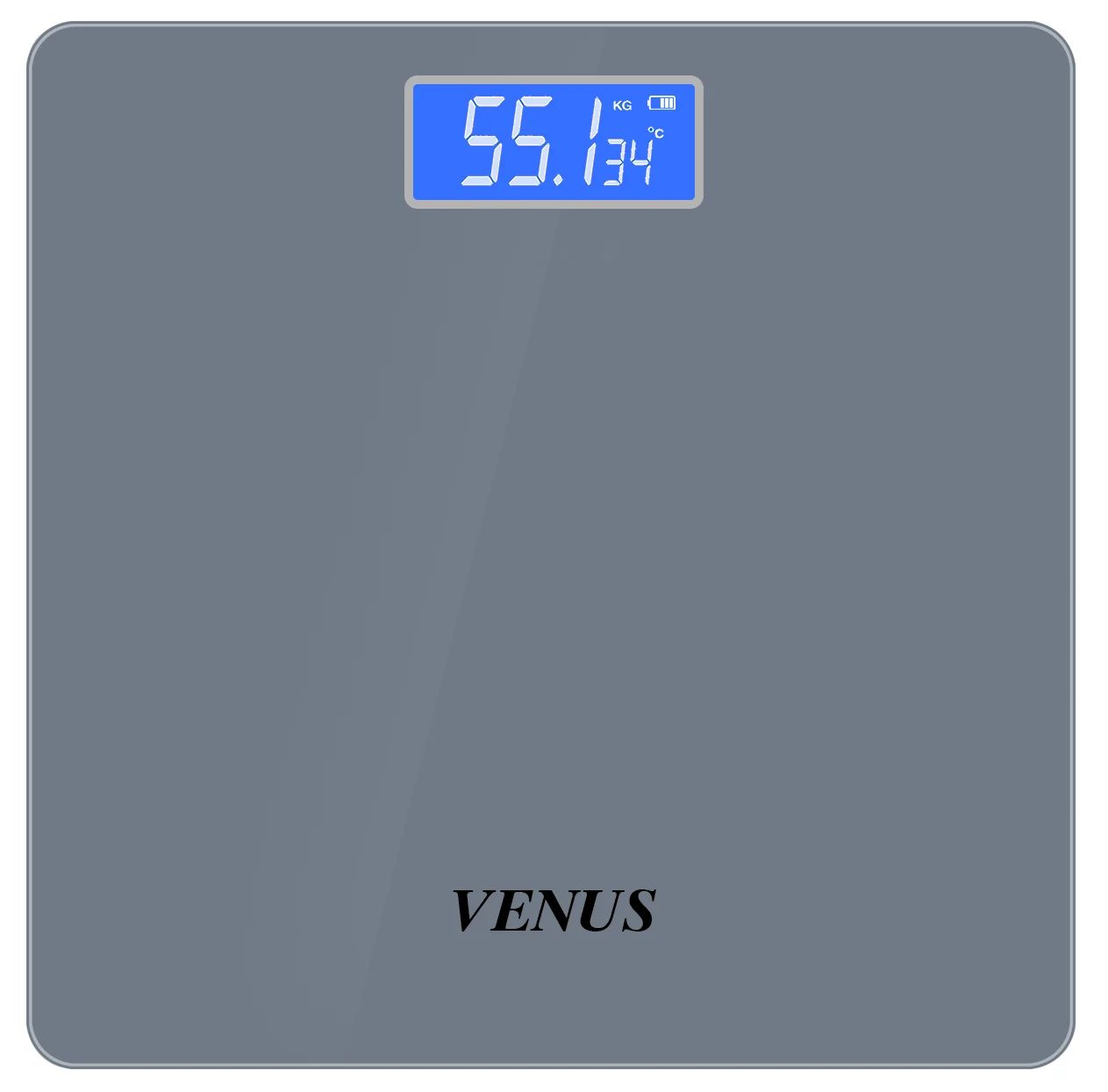 

High Precision Best in Quality Testing and Analysis Instruments Low Price Grey and Silver Color Digital Personal Weighing Scale