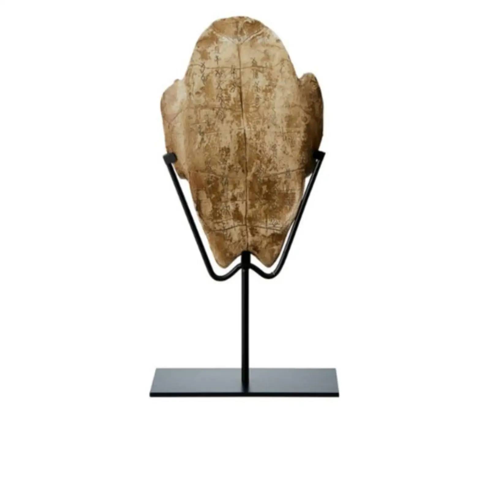 Turtle Carapace on Stand Tabletop Decor Antique-Vintage-Look Bone Reproduction for History , Collectors, Study