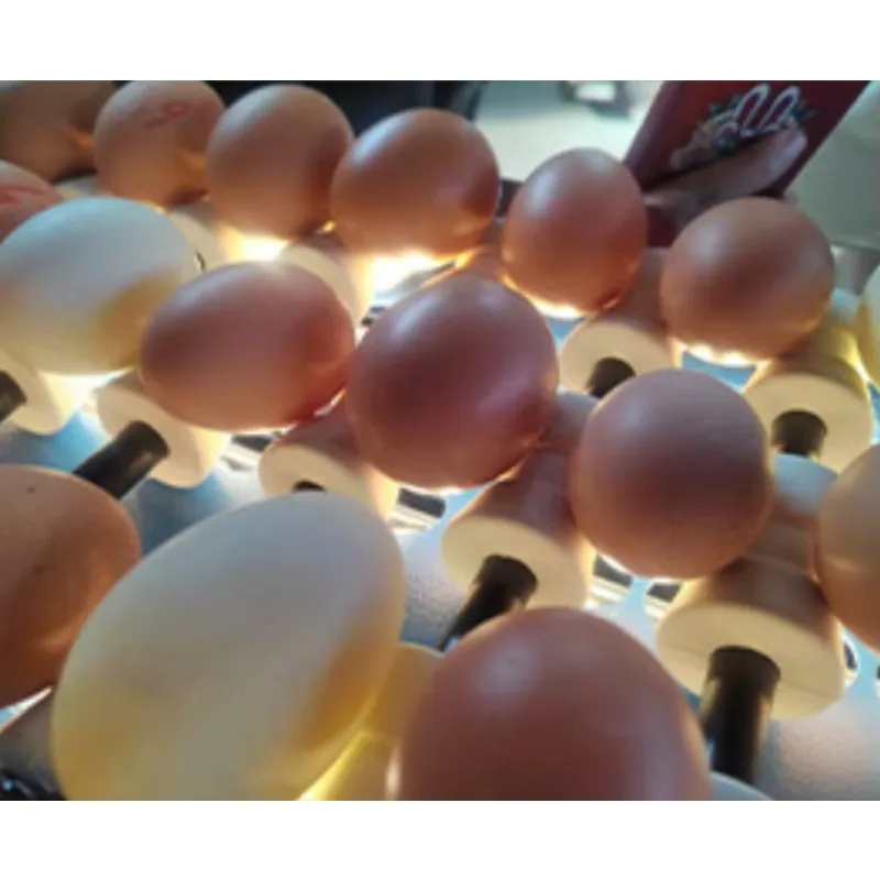 Egg Cleaning Sorter Egg Washer Classifier Egg Printing Sorter