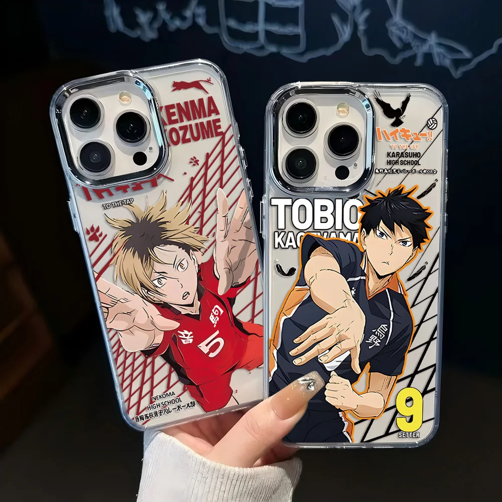 Hot Anime Haikyuu Hinata Shoyo Handyhülle für iPhone 17 16e 16 15 14 13 12 11 Mini Pro Max X XR XSMAX 8 7 Air Plus Soft Cover
