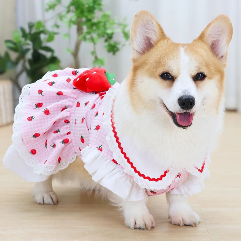 

Dog Cute Strawberry Plaid Dress Skirt Spring Summer Pet Apparel Female Small Medium Yorkie Chihuahua Pugs Puppy Cat Clothes