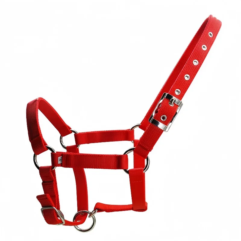 Nylon Webbing Horse Halter with Adjustable Zinc Alloy Clip Australian Saddle Style Padded Equestrian Leather Accessory