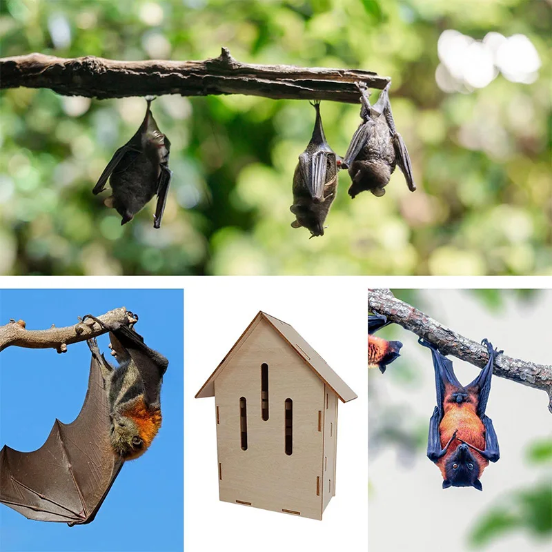 Thumbnail 3 - #16 Discounted Small Animal Habitats & Cages Worth Buying
