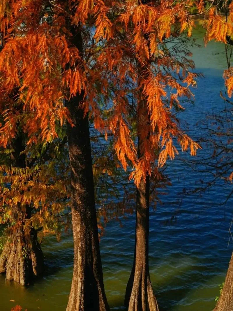 

For Benz CLA Paint Touch Up Pen Kit Car paint scratch repair car scratch remover Paint repair set Auto Accessories