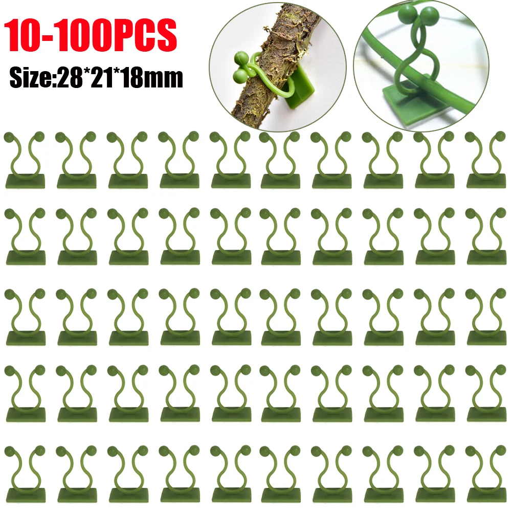 Gancho de hebilla fija autoadhesivo para pared de escalada, accesorio de sujeción para plantas de jardín, Clips de vid para escalada, 100-10 piezas