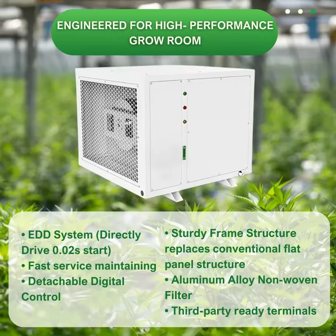 Growroom Greenhouse Commercial air Dehumidifier Greenhouse R290 R410a Grow Room Dehumidifier Grow