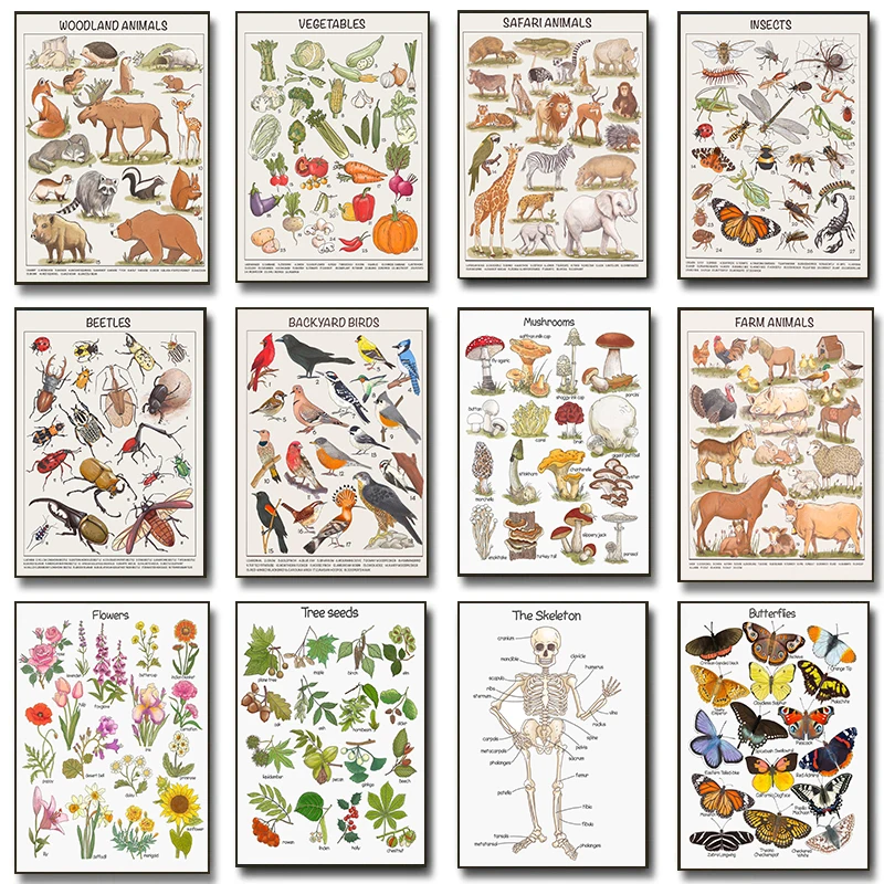 Nature Educational Poster Insects Butterfly Nature Study Preschool Learning Prints Diamond Painting Wall Picture Homeschool De