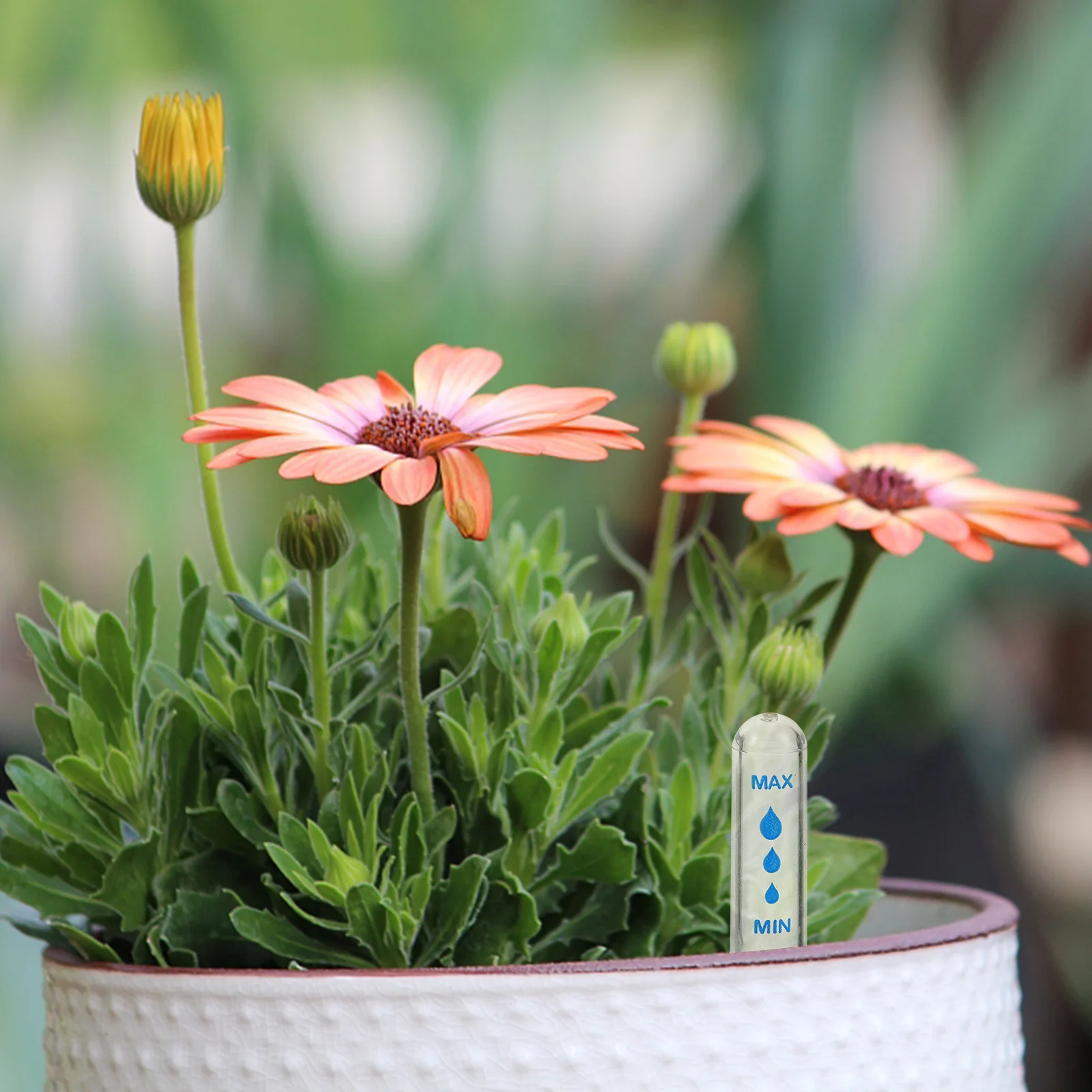 

5Pcs Water Level Gauge Float Accessories Sturdy Plastic Indicator Cap for Flower Pot Moisture Reader Water Level Indicator Cap