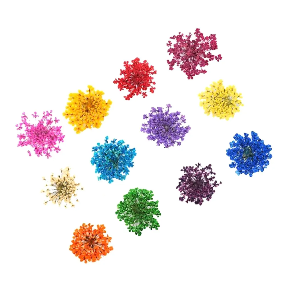 12 Colors Pressed Flower Nail Art Stickers 3D Dimensional Floral Decoration Tips for Professional DIY Manicure Nail Supplies