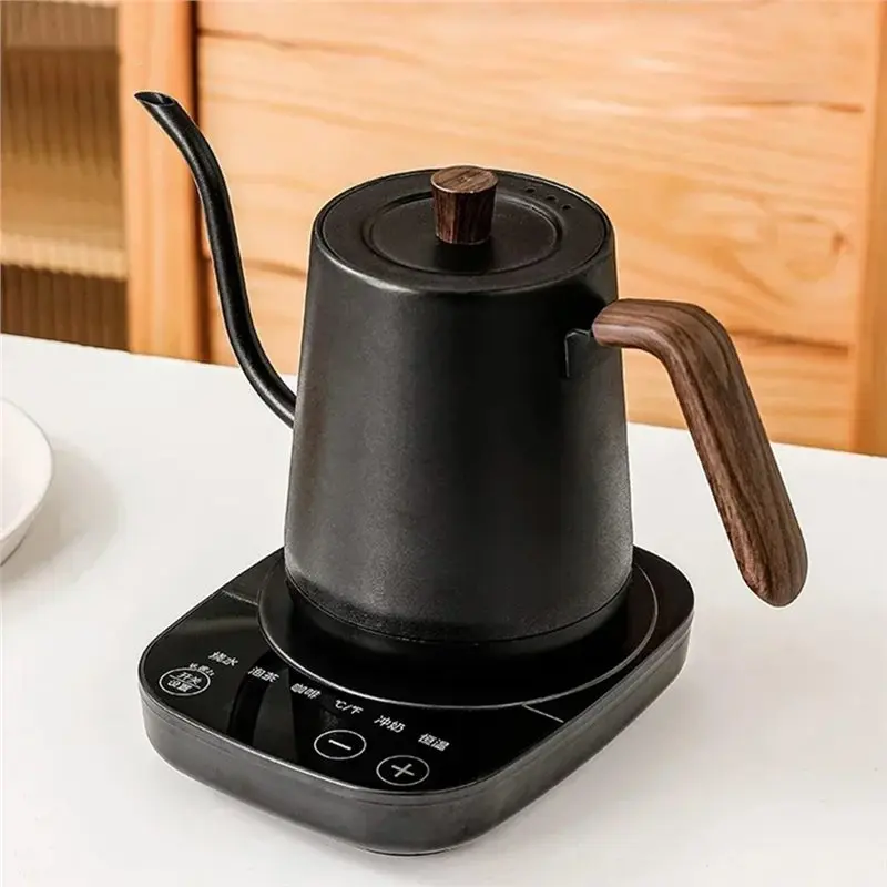 TAIGH-Gooseneck Electric Kettle,Smart Coffee Pot,Temperature Control Electric Kettle,1000W Fast Heating Electric Kettle