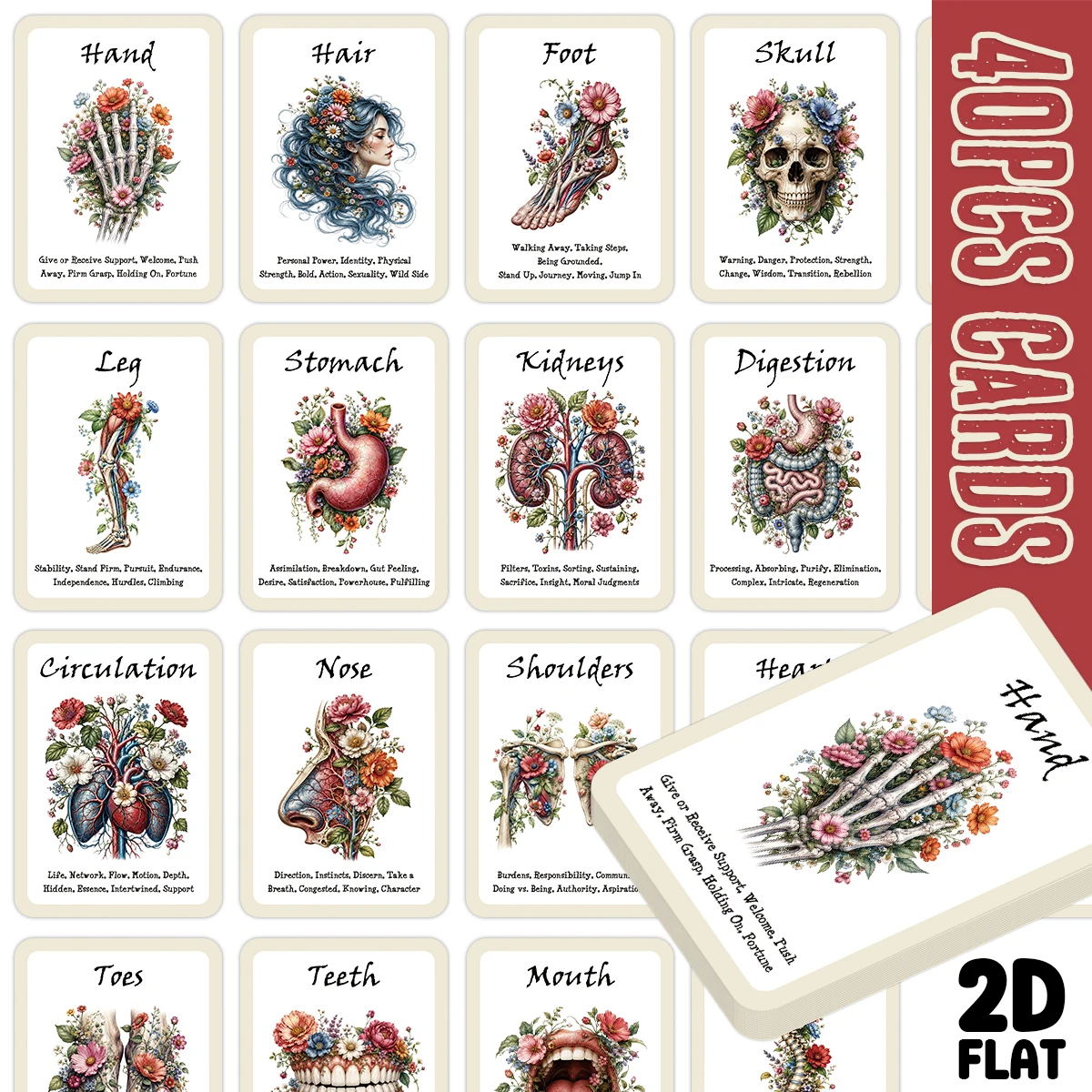 40 cartes Oracle vintage sur l'anatomie humaine à motifs floraux, cartes de guidance sur les organes du squelette, pour la divination spirituelle, la méditation et la réflexion