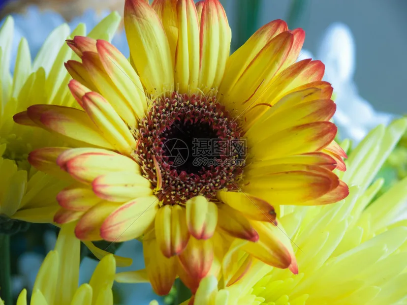 

Travel Car Cargo Roof Bag Rooftop Luggage for SCX10 TRX4 D90 1/10 Climbing Spare Ornaments