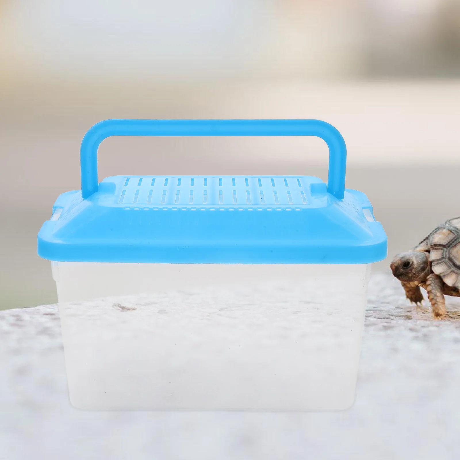 

Pet Transport Box Reptile Tortoise Tank Lightweight Plastic Fish Tank For Goldfish Turtle Feeding Transparent Breeding