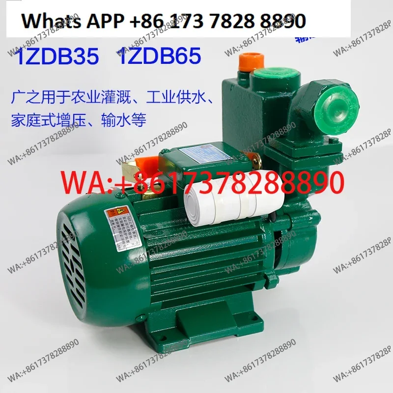 Water pump household 220v Guangdong household booster pump, high lift water pump self-priming pump horizontal centrifugal view 2