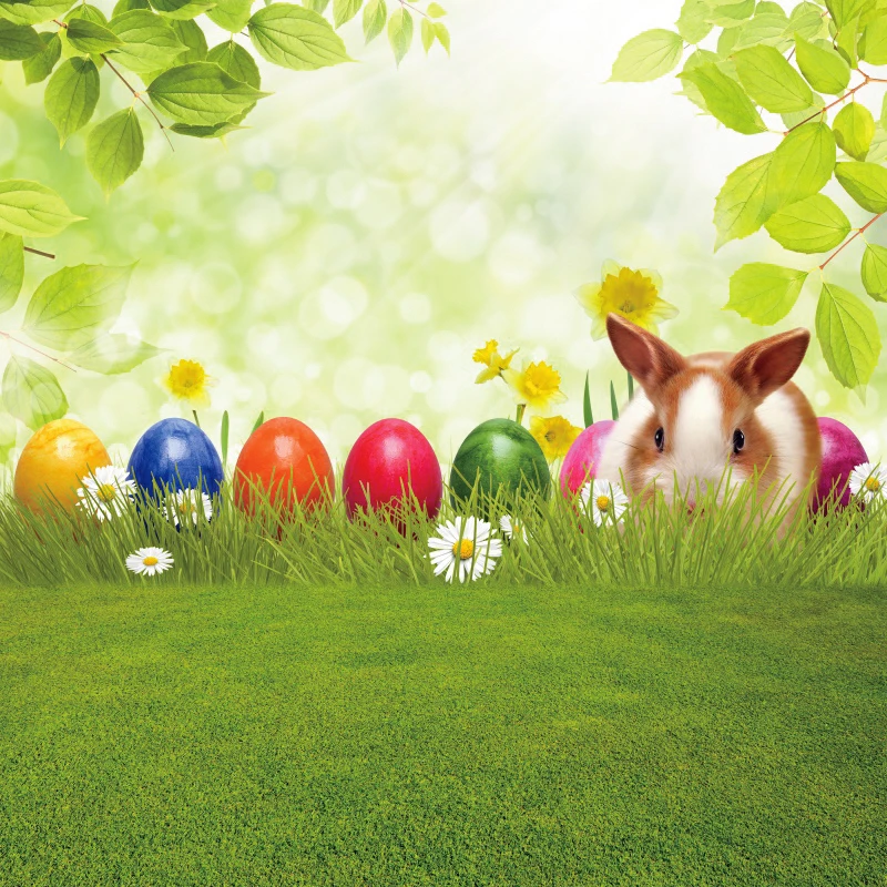 Fondo de Pascua de primavera para fotografía conejito huevos flor Baby Shower fiesta de cumpleaños fondo de fotografía Interior