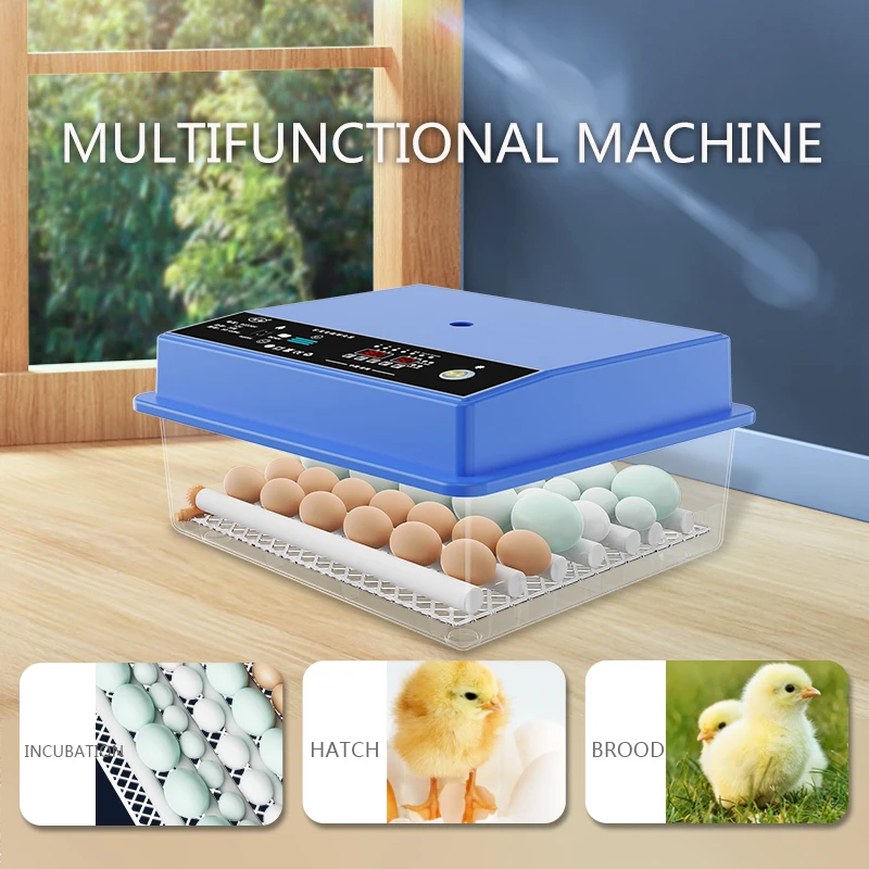 

2026 Fully Automatic 36 Incubator High Hatching Rate Poultry Hatching Machine for Chicken Duck