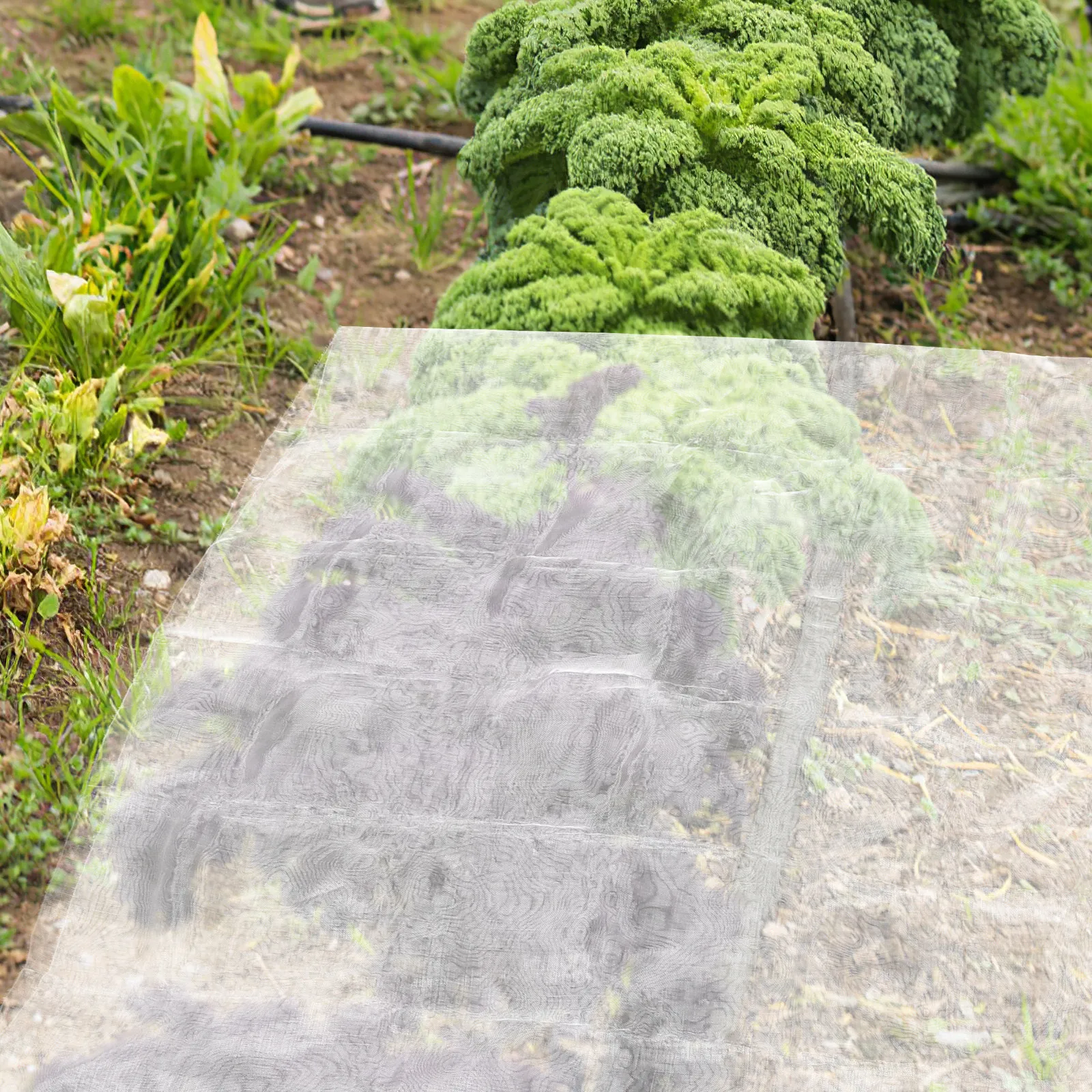 

1 Roll Garden Anti Insect Net Lightweight Uv Resistant Mesh Plant Protection Screen Cuttable Pest Barrier for Vegetable Raised