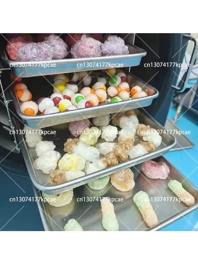 For 6Kg Digital Control Home Freeze Dryer Easy Use Small Vacuum Lyophilizer Compressor Pump Gear Automatic for Food