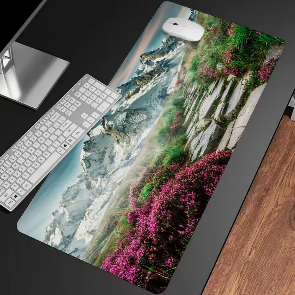 

Коврик для мыши Alpine Path & Blooms, нескользящий игровой коврик для мыши разных размеров, геймерский киберспортивный игровой механический коврик XXL, настольный коврик