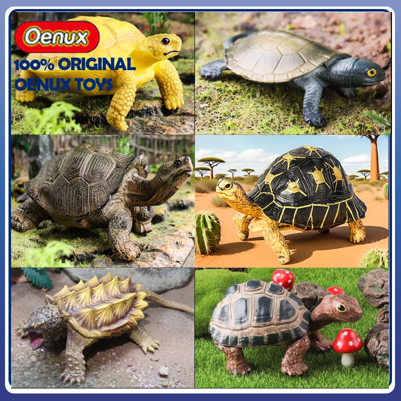Oenux Modelli Assortiti Di Tartarughe: Tartaruga, Alligatore, Tartaruga Delle Galapagos, Tartaruga Cinese Softshell - Statuette E Bambole