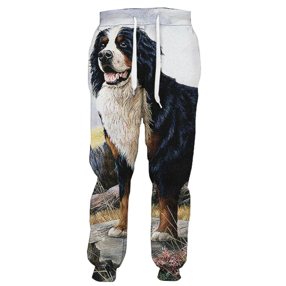 HX Animals Mens Pants Fashion Animal Bernese Mountain Dog 3D Print Trousers Casual Sweatpants Streetwear Men Clothing S-5XL