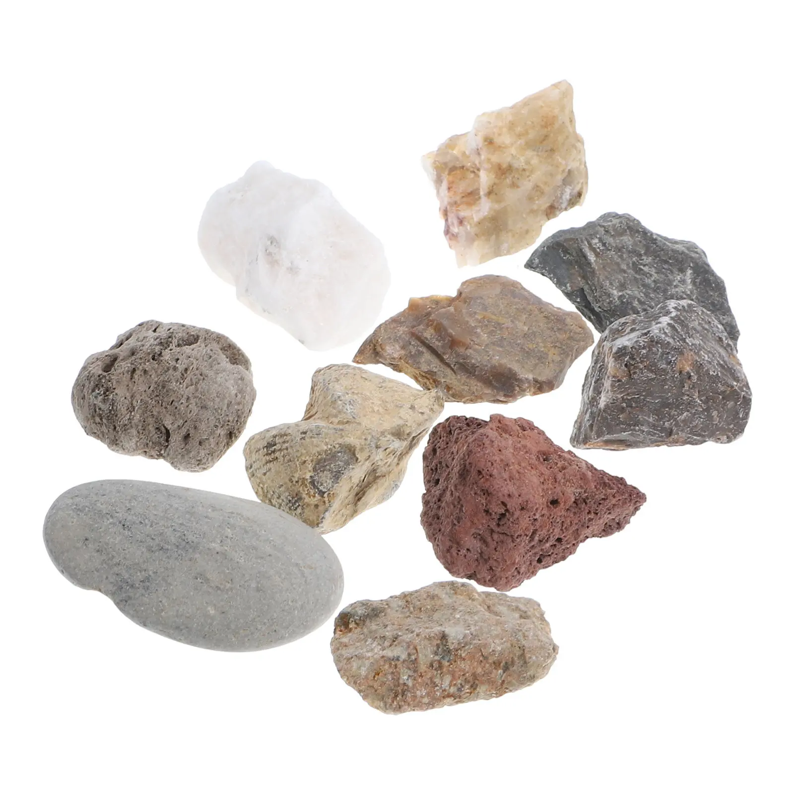 

1Set Rock Mineral Collection Box Science Teaching Prop for Classroom Laboratory Field Testing Geology Specimens Educational Kit