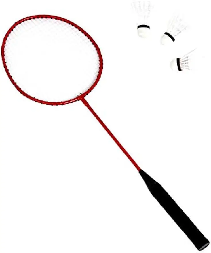 Outdoor Volleyball & Badminton Combo Set with Net, Poles, Racquets, Birdies & Ball in Durable Carrying Case